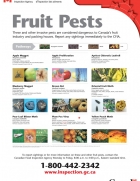Fruit-Pests-747x1024